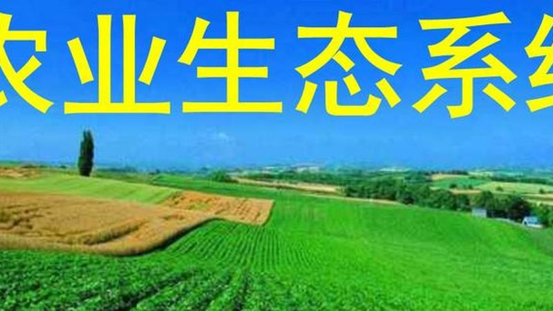 有机蔬菜种植用土与普通土：差异与选择要点