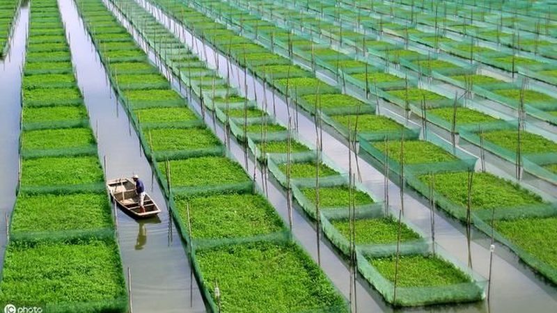 合作社贷款手续繁琐？一张图理清全流程