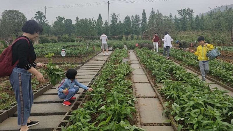 小型农场智能灌溉系统选型指南