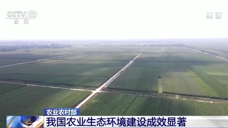 城市屋顶种水果，你需要注意这些细节
