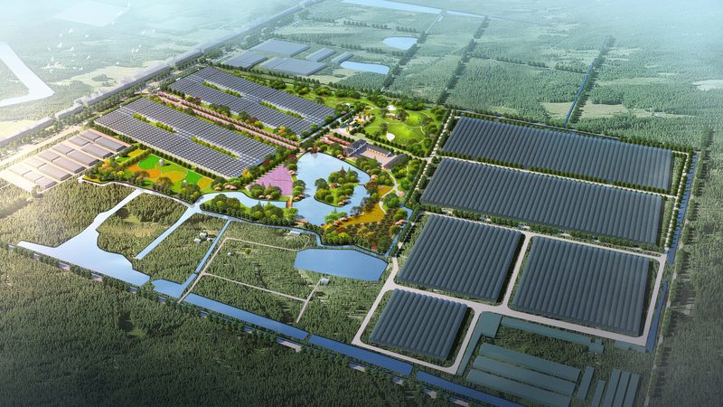 水果批发市场税收优惠申请方法解析
