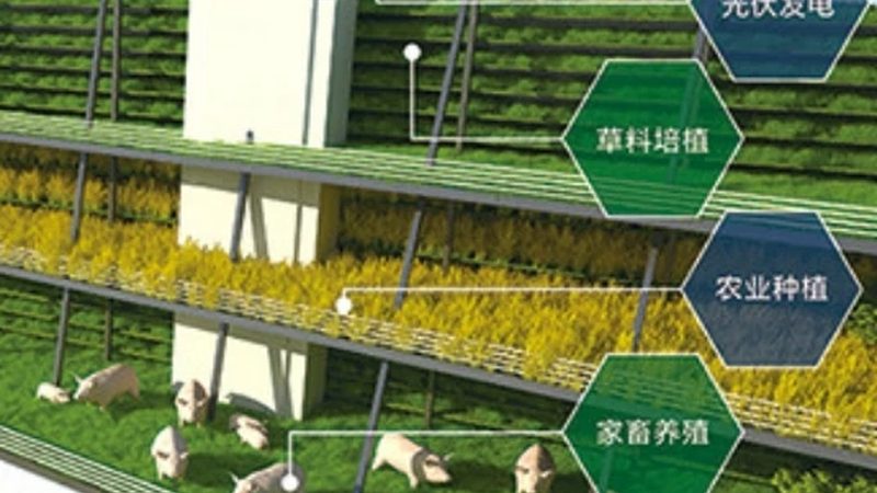 农产品批发价格与零售价：差异背后的真相