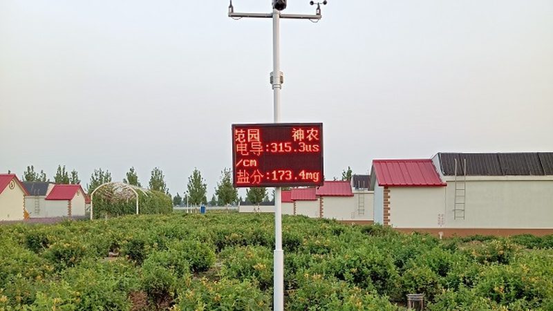 农资批发市场几点开门最划算