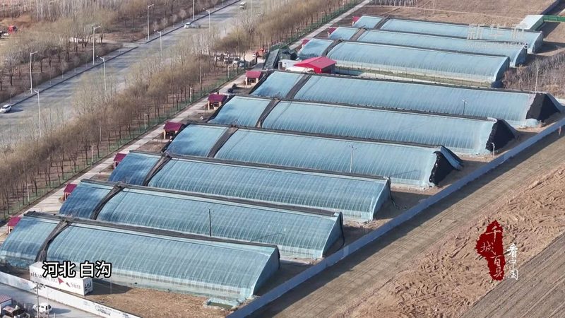 土壤对比：揭秘粮食种植的根基差异