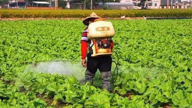 果蔬采摘机器人：农业现代化的智能助手
