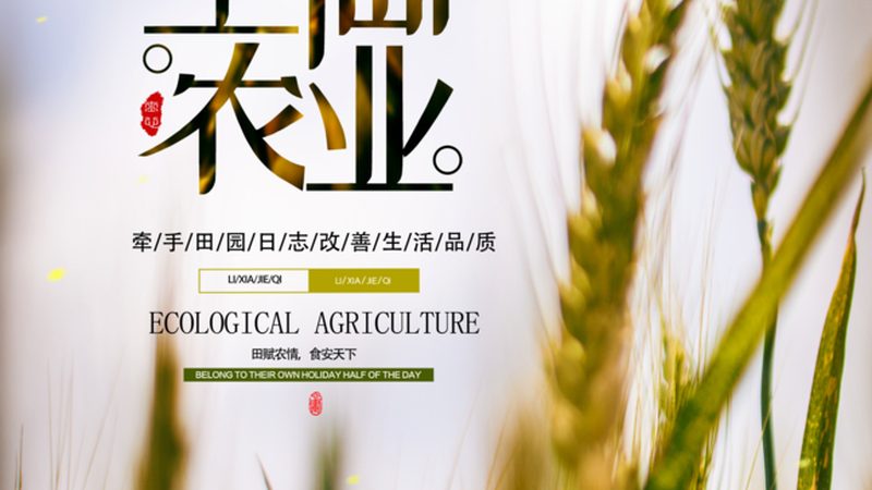 农资电商平台定制种子服务：如何精准满足种植需求